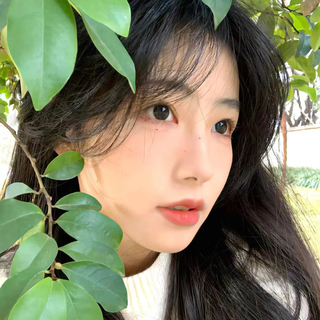 为了一句话